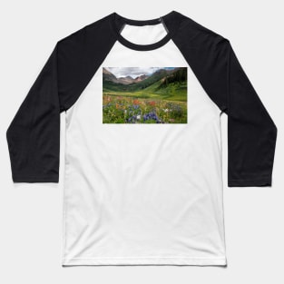 Alpine flowers in Rustler's Gulch, USA (C006/5999) Baseball T-Shirt